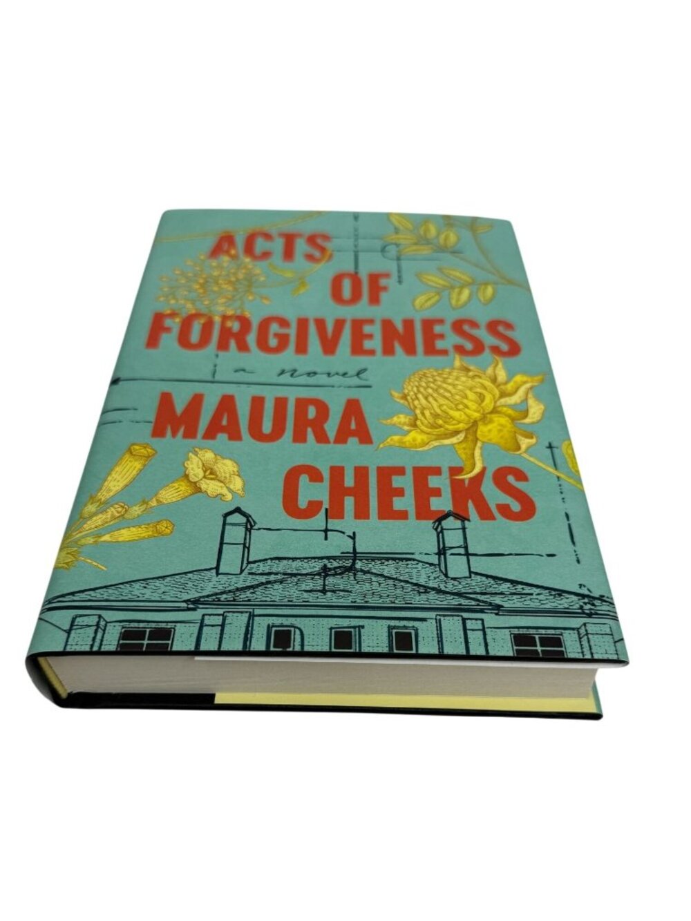 Acts of Forgiveness Maura Cheeks Hardcover Book New Fiction Novel